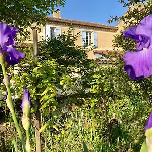 Le Petit Cochon Couette-café Valence-sur-Baïse